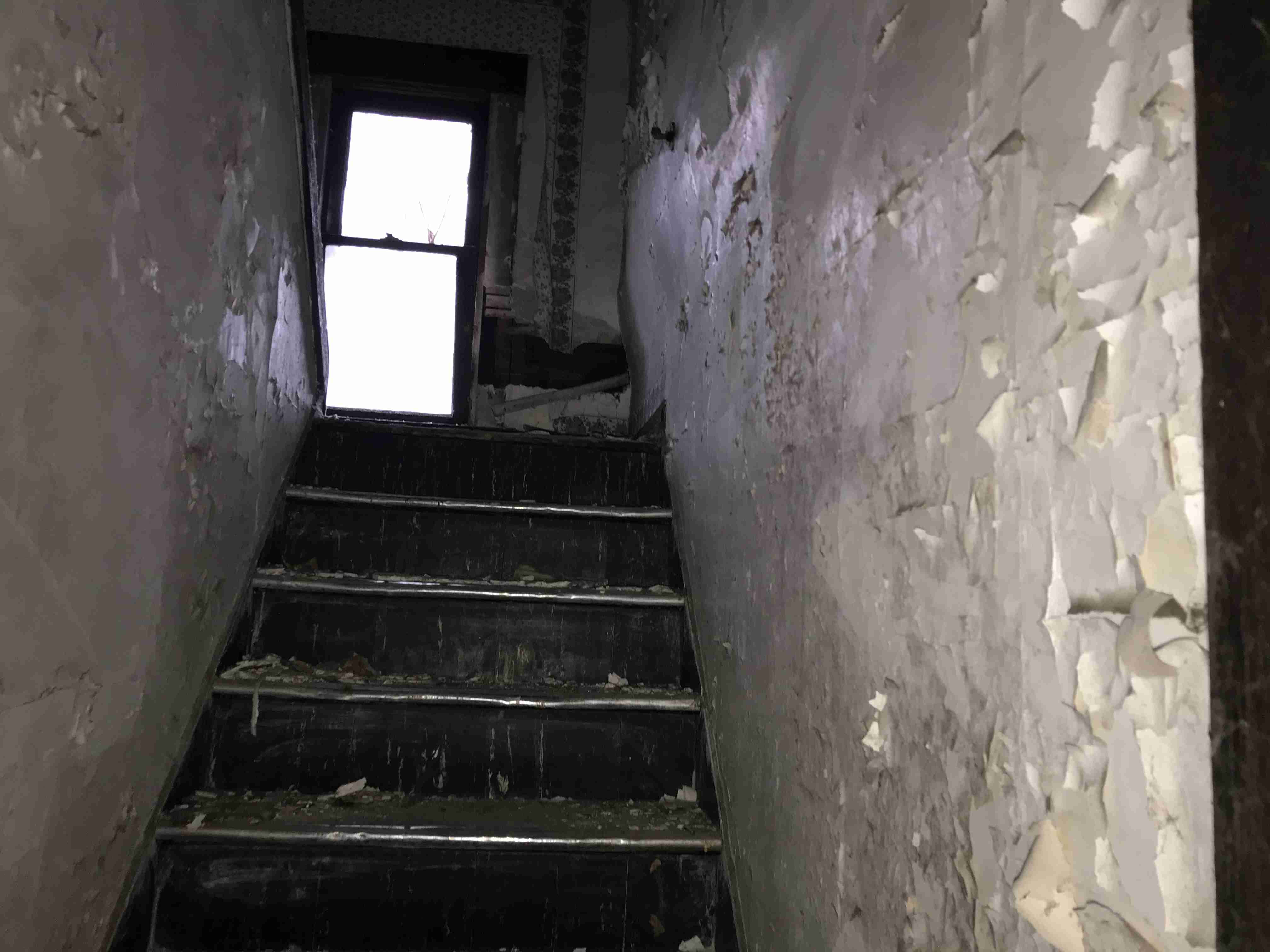 Photo Nov 05, 7 47 44 AM.jpg